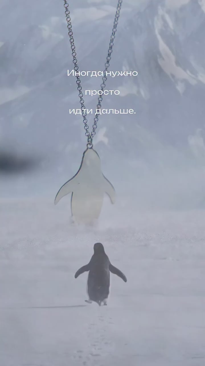 P N